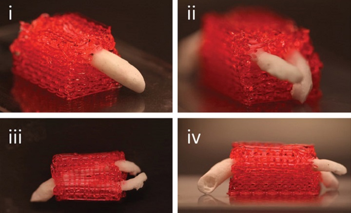 محققین ابتدا رگ های مصنوعی پوشیده شده با هیدروژل پرینت سه بعدی پرینت کردند.